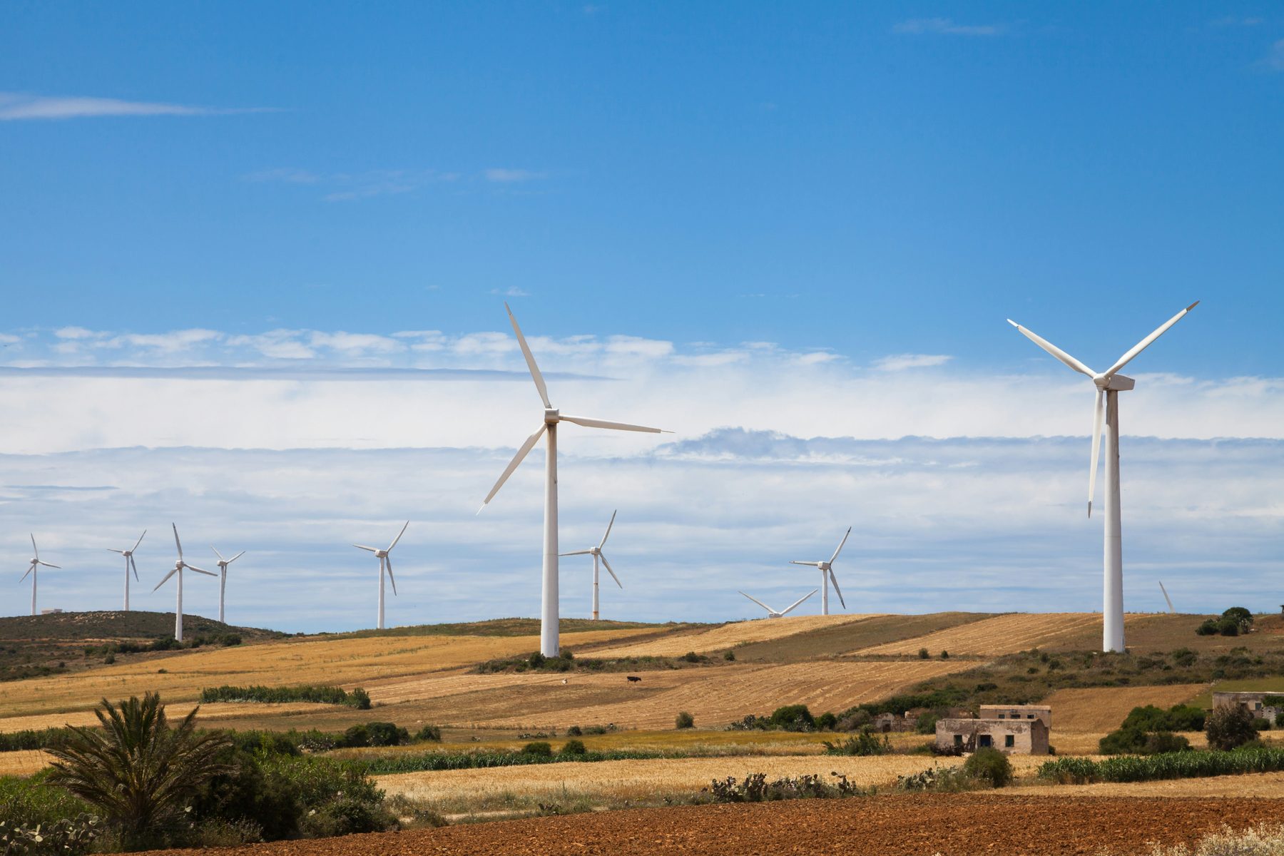 Wind turbines above farmland