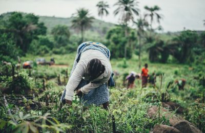 annie-spratt-QYcSeY7vuZM-unsplash